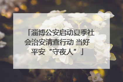 淄博公安启动夏季社会治安清查行动 当好平安“守夜人”
