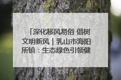 深化移风易俗 倡树文明新风｜乳山市海阳所镇：生态绿色引领健康生活新时尚