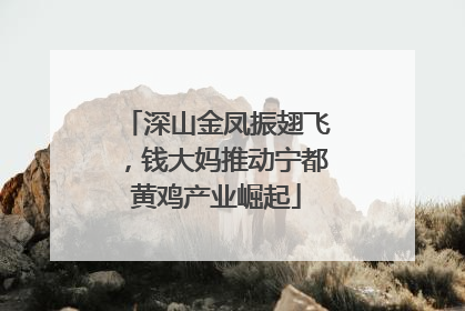 深山金凤振翅飞，钱大妈推动宁都黄鸡产业崛起