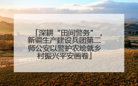深耕“田间警务”，新疆生产建设兵团第二师公安以警护农绘就乡村振兴平安画卷