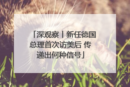 深观察丨新任德国总理首次访美后 传递出何种信号