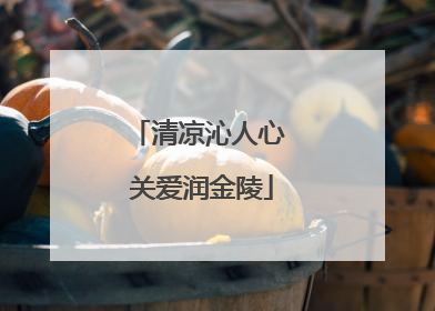 清凉沁人心 关爱润金陵
