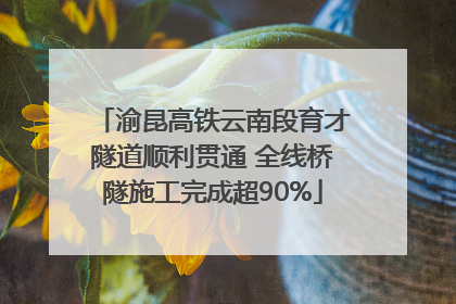 渝昆高铁云南段育才隧道顺利贯通 全线桥隧施工完成超90%
