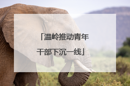 温岭推动青年干部下沉一线