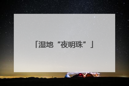 湿地“夜明珠”