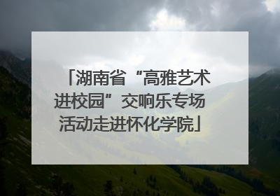 湖南省“高雅艺术进校园”交响乐专场活动走进怀化学院