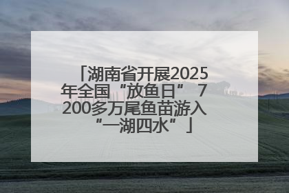湖南省开展2025年全国“放鱼日” 7200多万尾鱼苗游入“一湖四水”