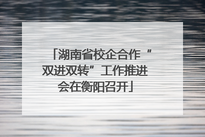 湖南省校企合作“双进双转”工作推进会在衡阳召开