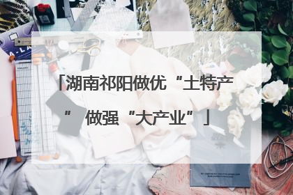 湖南祁阳做优“土特产” 做强“大产业”