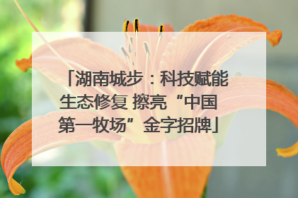 湖南城步：科技赋能生态修复 擦亮“中国第一牧场”金字招牌