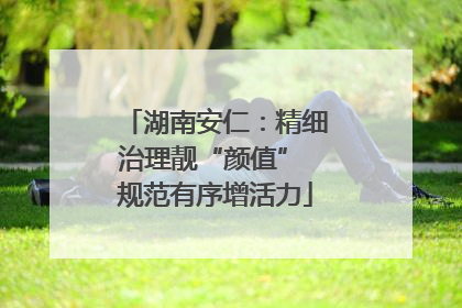 湖南安仁：精细治理靓“颜值” 规范有序增活力