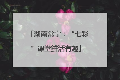 湖南常宁：“七彩”课堂鲜活有趣