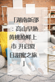 湖南新邵：高山早熟黄桃抢鲜上市 开启夏日甜蜜之旅