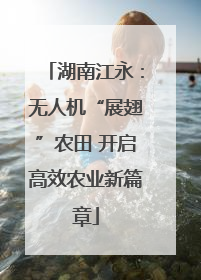 湖南江永：无人机“展翅”农田 开启高效农业新篇章