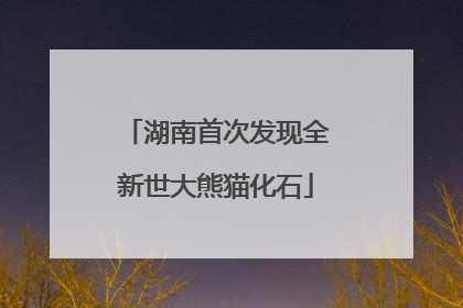 湖南首次发现全新世大熊猫化石