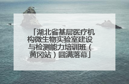 湖北省基层医疗机构微生物实验室建设与检测能力培训班（黄冈站）圆满落幕