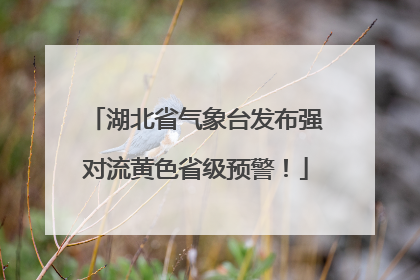湖北省气象台发布强对流黄色省级预警！