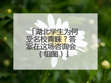 湖北学生为何受名校青睐？答案在这场咨询会（组图）