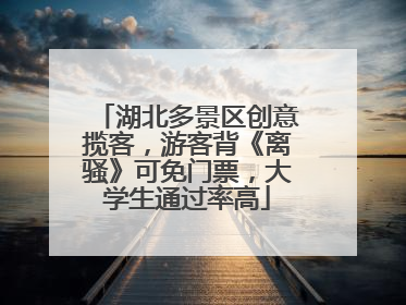 湖北多景区创意揽客，游客背《离骚》可免门票，大学生通过率高