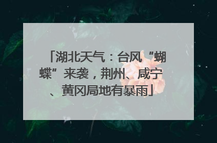 湖北天气：台风“蝴蝶”来袭，荆州、咸宁、黄冈局地有暴雨