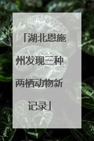 湖北恩施州发现三种两栖动物新记录