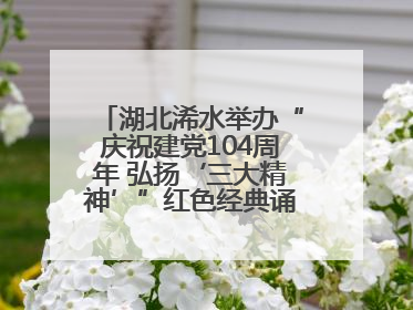 湖北浠水举办“庆祝建党104周年 弘扬‘三大精神’”红色经典诵读活动