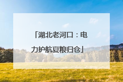湖北老河口：电力护航夏粮归仓