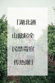 湖北通山掀起全民禁毒宣传热潮