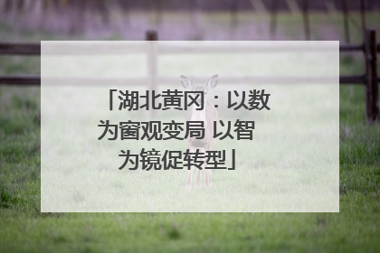 湖北黄冈：以数为窗观变局 以智为镜促转型
