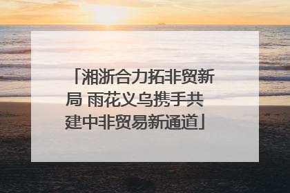 湘浙合力拓非贸新局 雨花义乌携手共建中非贸易新通道