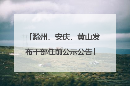 滁州、安庆、黄山发布干部任前公示公告