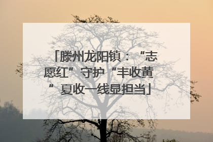 滕州龙阳镇：“志愿红”守护“丰收黄”夏收一线显担当