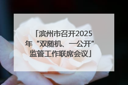 滨州市召开2025年“双随机、一公开” 监管工作联席会议