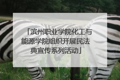 滨州职业学院化工与能源学院组织开展民法典宣传系列活动