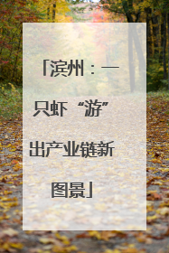 滨州：一只虾“游”出产业链新图景
