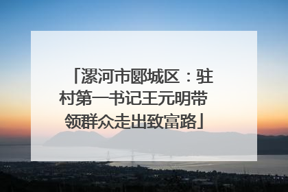 漯河市郾城区：驻村第一书记王元明带领群众走出致富路
