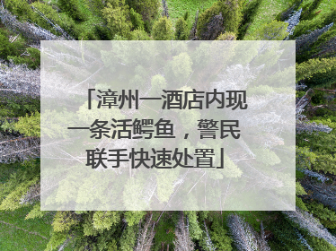 漳州一酒店内现一条活鳄鱼，警民联手快速处置