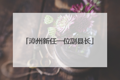 漳州新任一位副县长