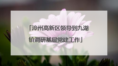 漳州高新区领导到九湖镇调研基层党建工作