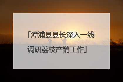 漳浦县县长深入一线调研荔枝产销工作