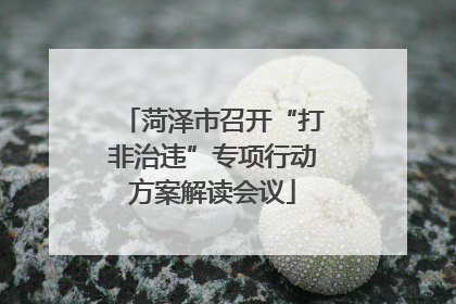 菏泽市召开“打非治违”专项行动方案解读会议