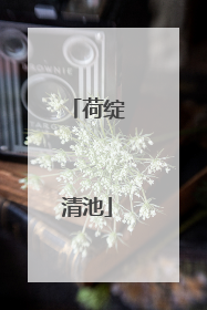 荷绽清池