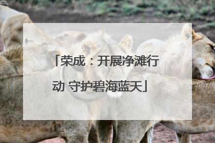 荣成：开展净滩行动 守护碧海蓝天