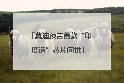 莫迪预告首款“印度造”芯片问世