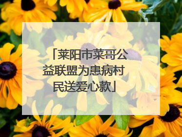 莱阳市菜哥公益联盟为患病村民送爱心款