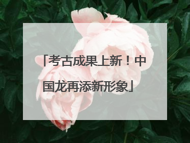 考古成果上新！中国龙再添新形象
