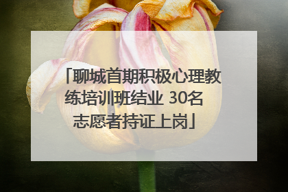 聊城首期积极心理教练培训班结业 30名志愿者持证上岗