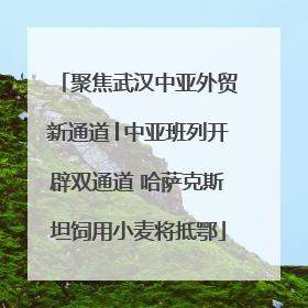 聚焦武汉中亚外贸新通道│中亚班列开辟双通道 哈萨克斯坦饲用小麦将抵鄂
