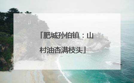 肥城孙伯镇：山村油杏满枝头
