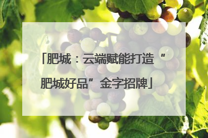 肥城：云端赋能打造“肥城好品”金字招牌